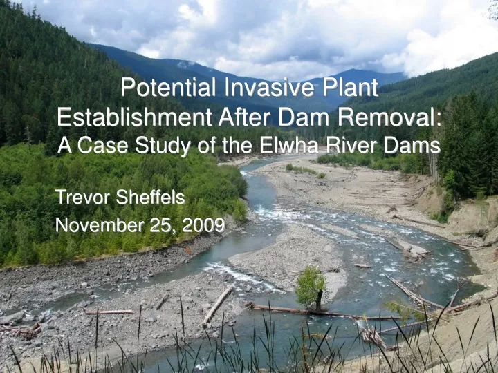 potential invasive plant establishment after dam removal a case study of the elwha river dams