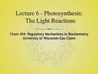 Lecture 6 - Photosynthesis: The Light Reactions