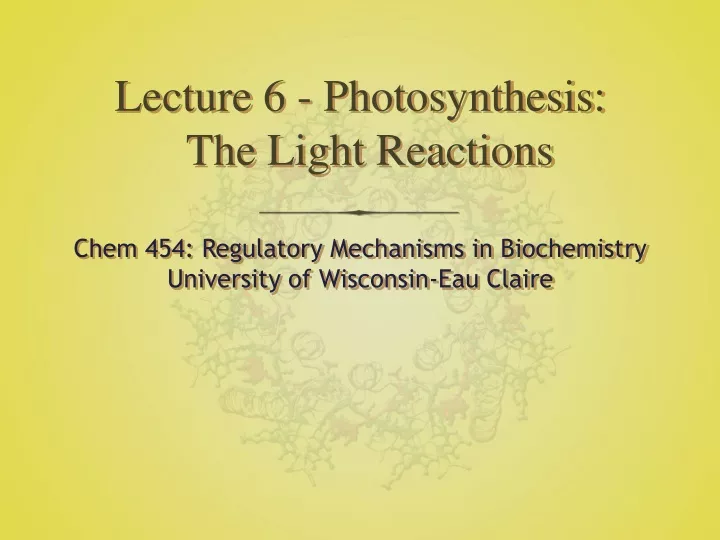 lecture 6 photosynthesis the light reactions