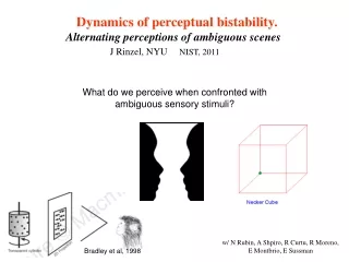 Dynamics of perceptual bistability.        Alternating perceptions of ambiguous scenes