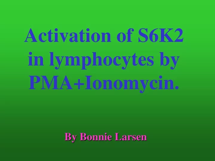 activation of s6k2 in lymphocytes by pma ionomycin