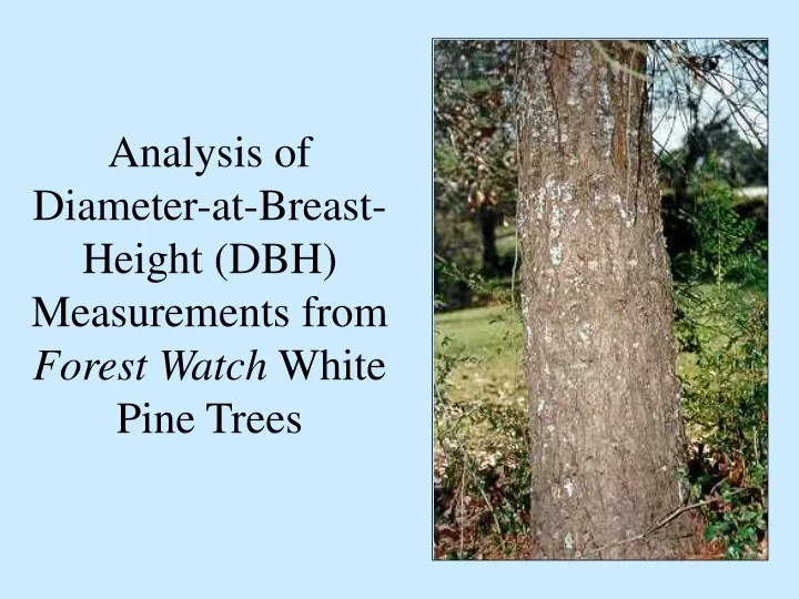 analysis of diameter at breast height