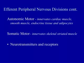 Efferent Peripheral Nervous Divisions cont.