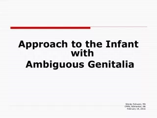 Approach to the Infant with  Ambiguous Genitalia Wendy Schwarz, RN CPEN, Edmonton, AB