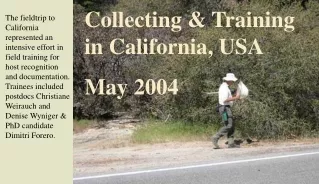 Collecting &amp; Training in California, USA  May 2004