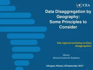 Data Disaggregation by Geography:  Some Principles to Consider