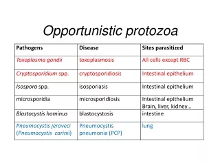 Opportunistic protozoa