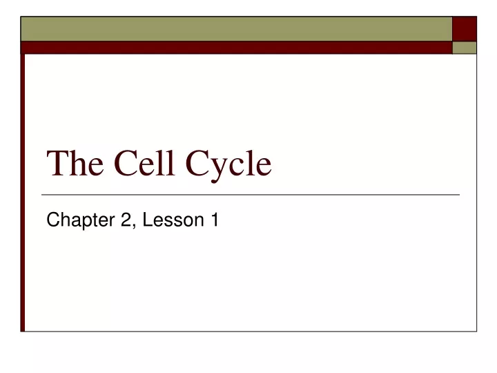 the cell cycle