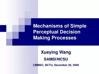 Mechanisms of Simple Perceptual Decision Making Processes