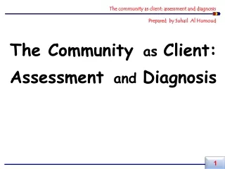 The community as client: assessment and diagnosis