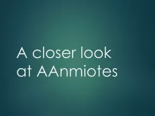 A closer look at AAnmiotes
