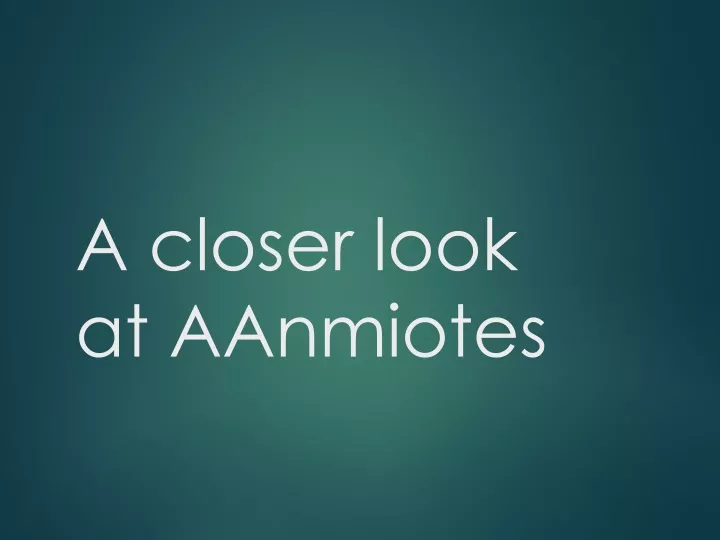 a closer look at aanmiotes