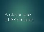 Evolution of Amniotes: Reptiles, Birds, and Mammals - slide 1