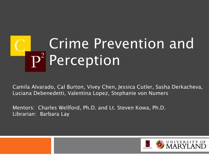 crime prevention and perception