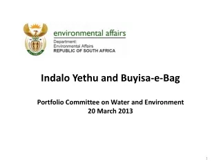 Indalo Yethu and Buyisa-e-Bag Portfolio Committee on Water and Environment 20 March 2013