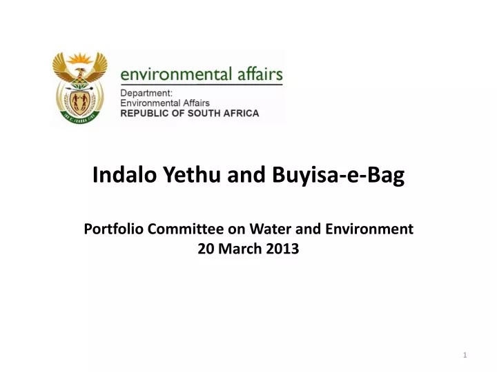 indalo yethu and buyisa e bag portfolio committee on water and environment 20 march 2013