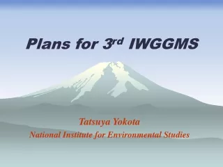 Plans for 3 rd  IWGGMS