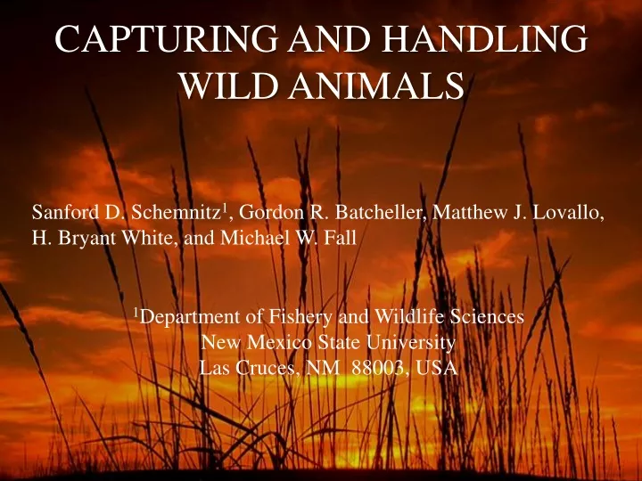 capturing and handling wild animals