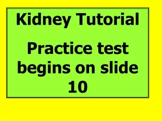 Kidney Tutorial  Practice test begins on slide 10