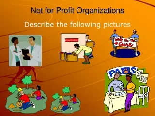 Not for Profit Organizations
