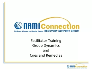 Facilitator Training Group Dynamics  and  Cues and Remedies