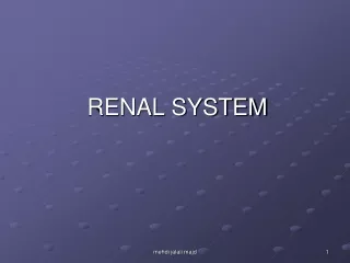 RENAL SYSTEM