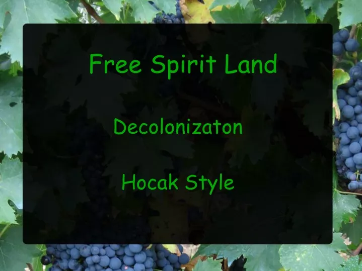 free spirit land