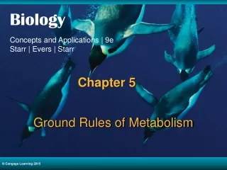 Ground Rules of Metabolism