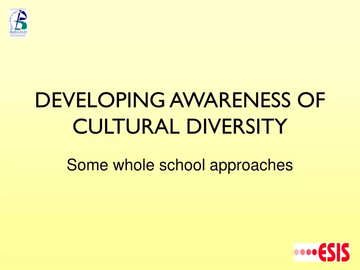 developing awareness of cultural diversity
