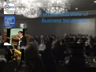 Fortune 500 View of Business Incubation