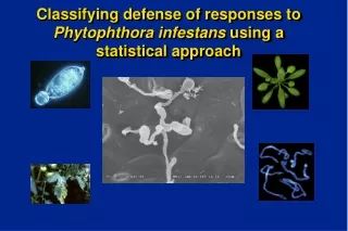 Classifying defense of responses to  Phytophthora infestans  using a statistical approach