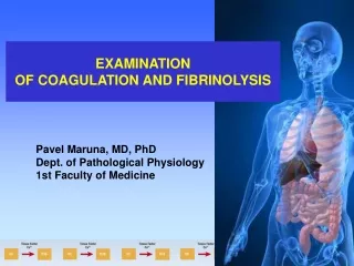 EXAMINATION OF COAGULATION AND FIBRINOLYSIS