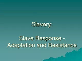 Slavery:  Slave Response - Adaptation and Resistance