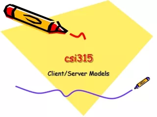 csi315