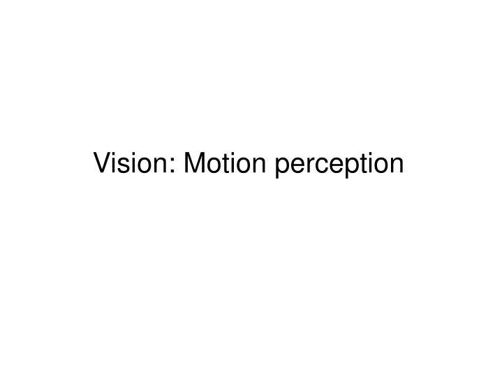 vision motion perception