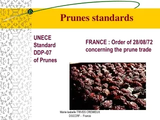 UNECE Standard  DDP-07 of Prunes