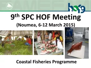 9 th SPC HOF Meeting (Noumea,  6-12  March  2015)