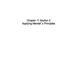 Chapter 11 Section 2  Applying Mendel ’ s Principles