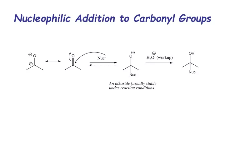 nucleophilic addition to carbonyl groups
