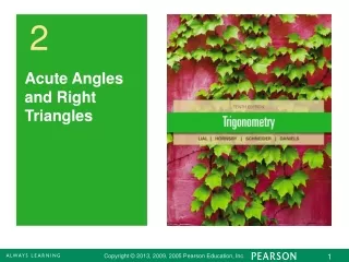 Acute Angles and Right Triangles
