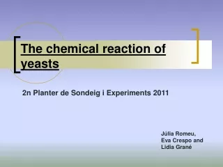 The chemical reaction of yeasts