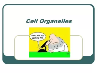 Cell Organelles