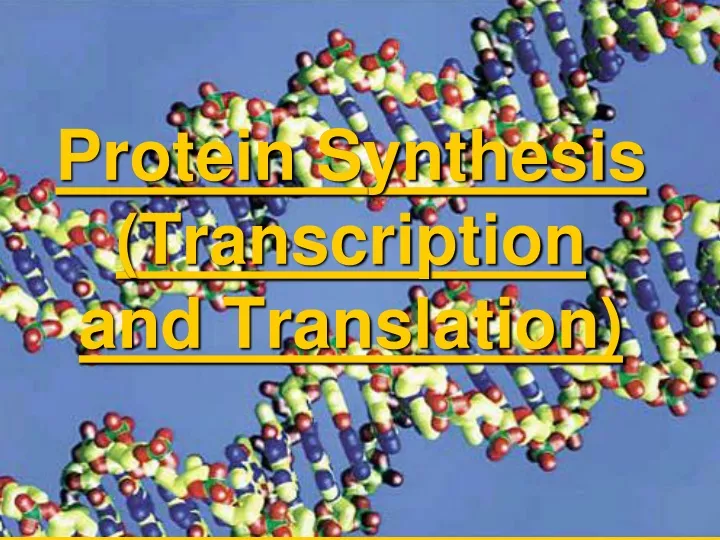 protein synthesis transcription and translation
