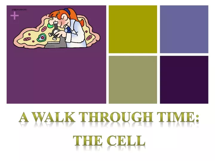 a walk through time the cell