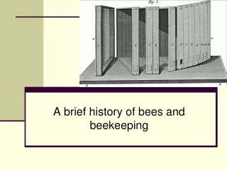 A brief history of bees and beekeeping