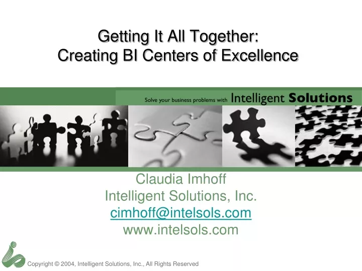 getting it all together creating bi centers of excellence