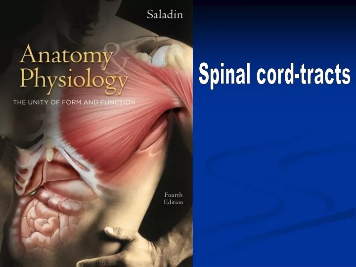 spinal cord tracts