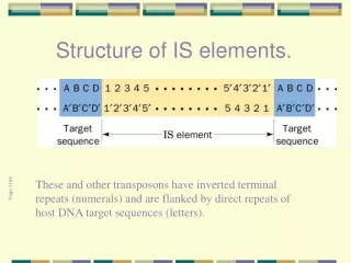 Structure of IS elements.