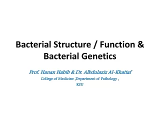Bacterial Structure / Function &amp; Bacterial Genetics