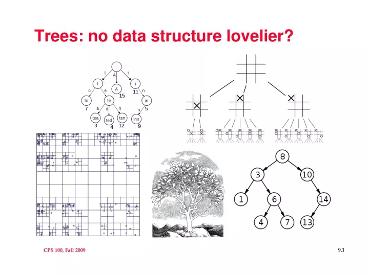 trees no data structure lovelier